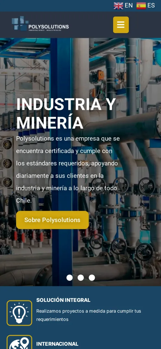 Home page of the previous Polysolutions site, built on WordPress